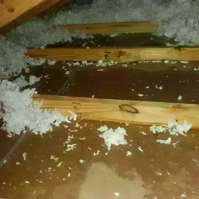 Attic Water Damage in Throckmorton County, TX